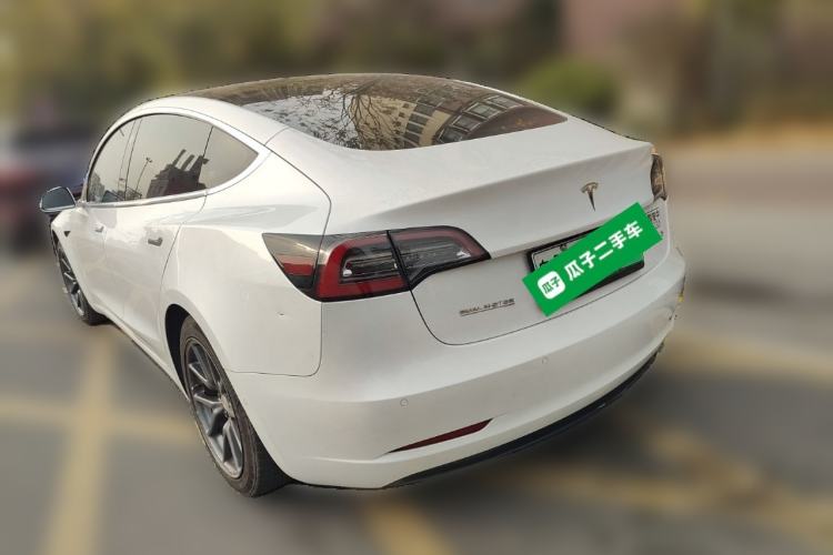 Used Tesla Model 3 2020 Standard Range Rear-Wheel Drive Upgraded Version Rear Left 45 Deg