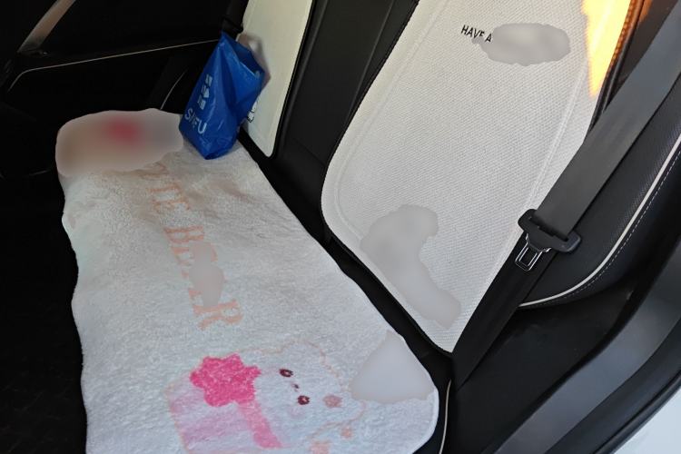 Used Haval H6 2023 National Trend Edition 1.5T Automatic Urban Version
