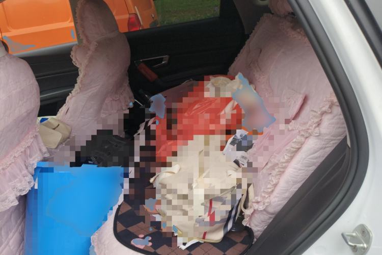 Used BYD Song Pro 2019 1.5T Automatic Prestige Model Left Rear Seat