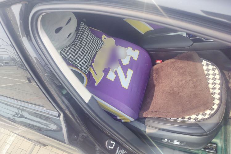 Used Hongqi E-QM5 2023 620km PLUS Right Front Seat