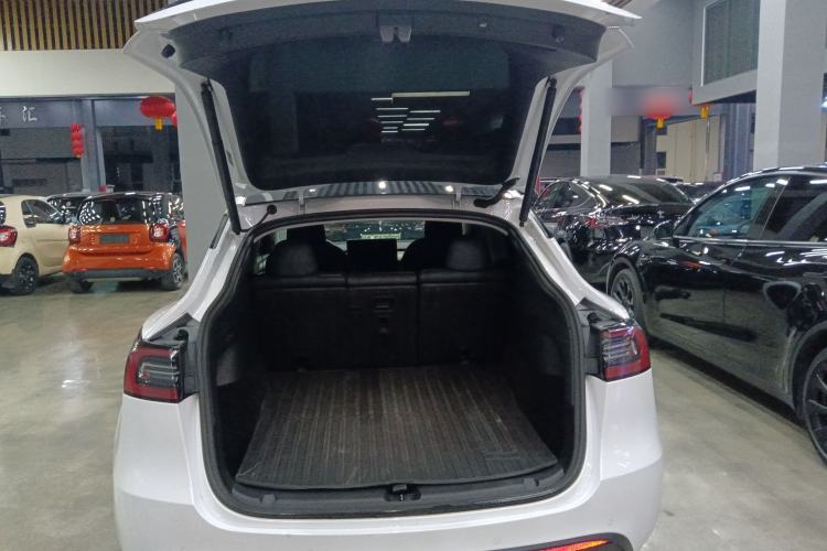 Used Tesla Model Y 2021 Standard Range Rear-Wheel Drive Version
