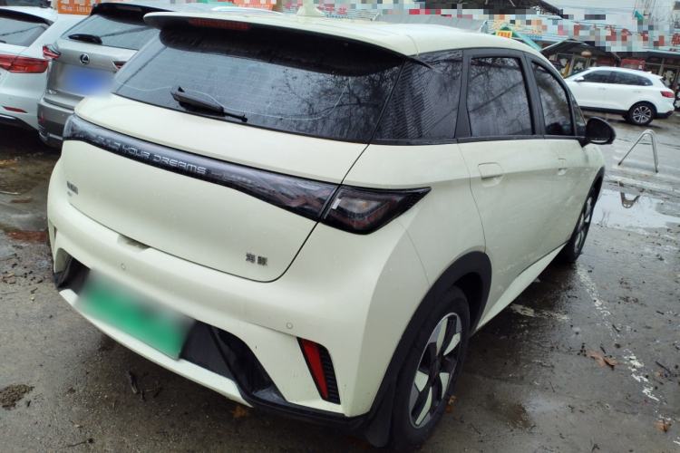 Used BYD Dolphin 2025 420km Free Edition