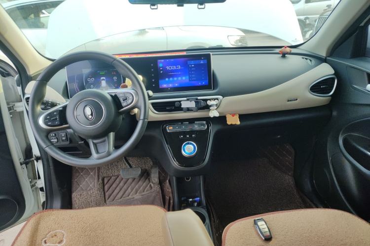 Used ORA White Cat 2022 Upgraded Model 305km Range Luxury Version Lithium-Ion Battery Center Console