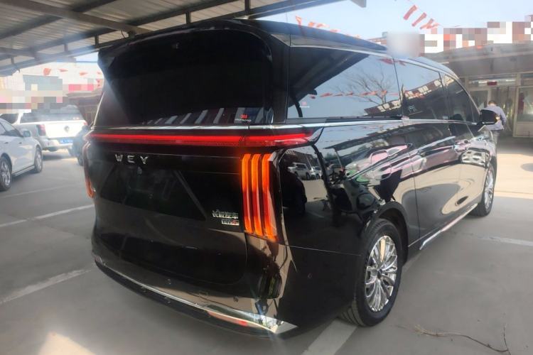 Used Wey Gaoshan 2023 Four-Wheel-Drive Executive Extended Version Rear Right 45 Deg