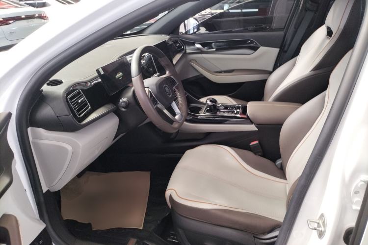 Used BYD Qin PLUS 2023 Champion Edition DM-i 55KM Superior Model Left Front Seat