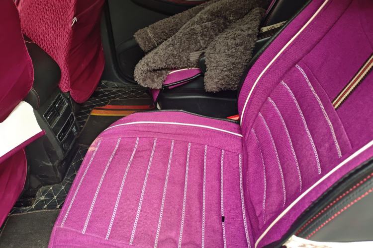 Used FORTHING SX6 2019 1.6L Manual Luxury Model China VI Standard
