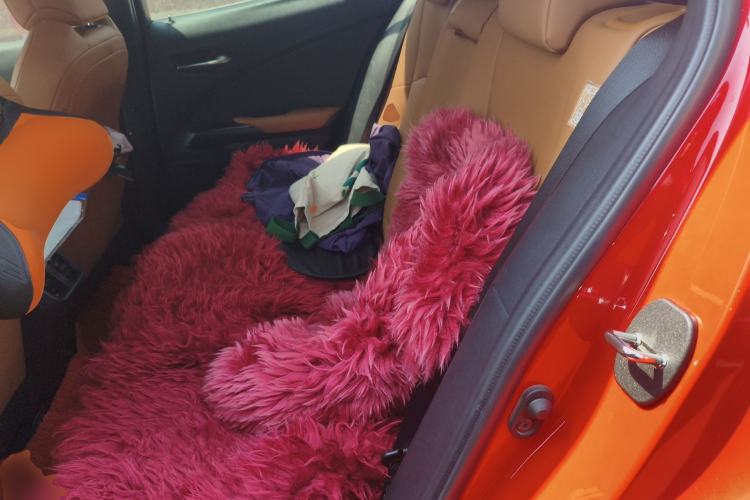 Used Lexus UX 2020 260h Explore & Adventure Edition Left Rear Seat