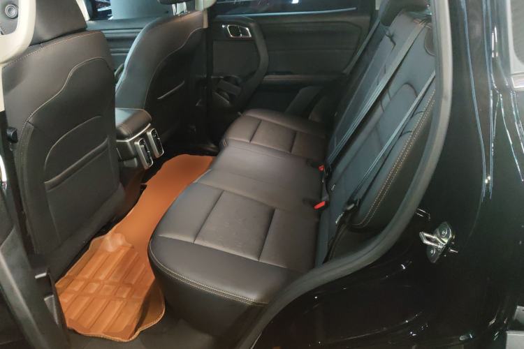 Used Haval DARGO 2024 2.0T DCT Chinese Rural Dog Edition
