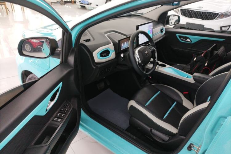 Used SOL E10X 2022 Flower Fairy Style Baby's Breath
