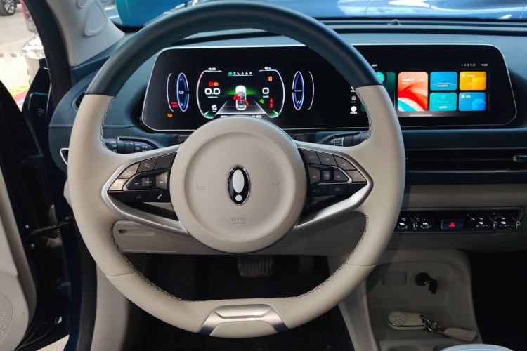 Used ORA Good Cat 2022 400km Standard Range Luxury Version Ternary Lithium
