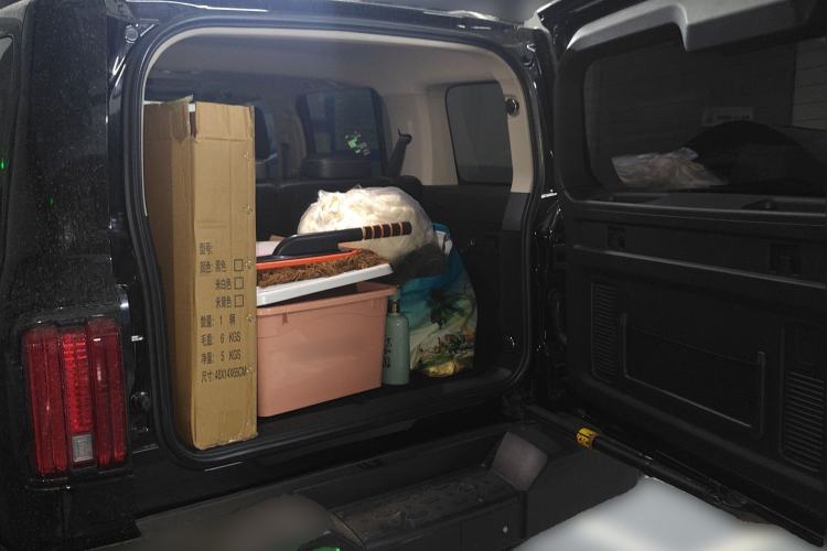 Used Tank 300 2024 2.0T Crosser Trunk