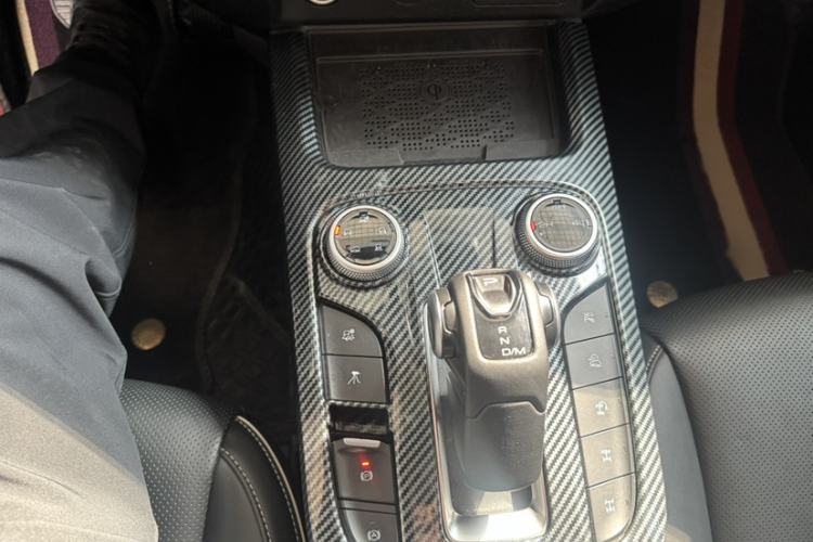 Used Tank 300 2024 2.0T Conqueror
