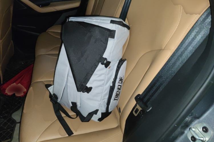 Used Roewe RX5 2023 1.5T Elite Edition
