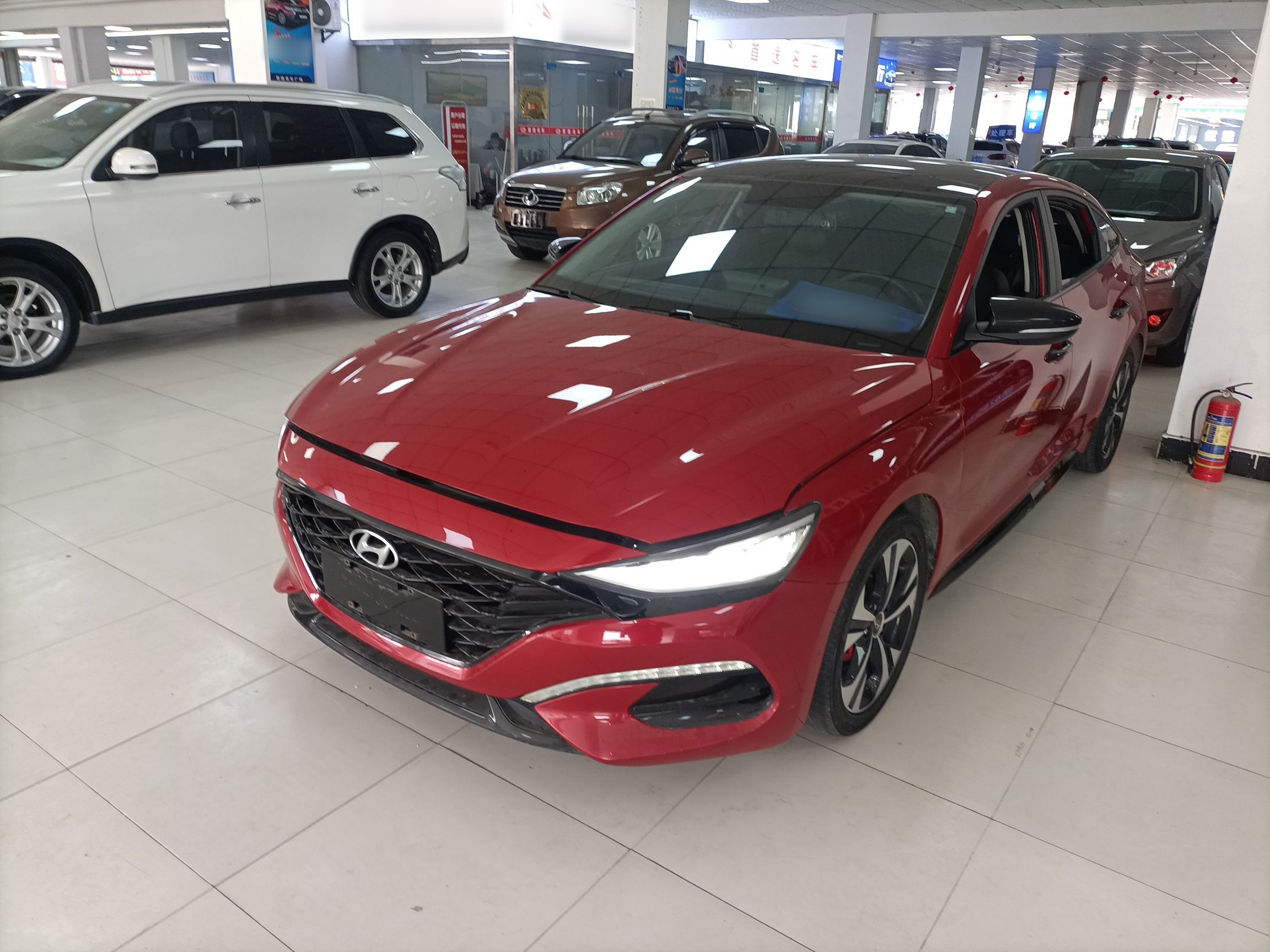 تحت مقدمة السيارة