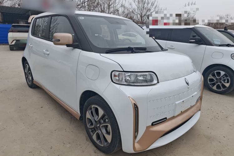 Used ORA White Cat 2022 Xiaoyue Mao Edition 360 km Luxury Model Lithium NMC
