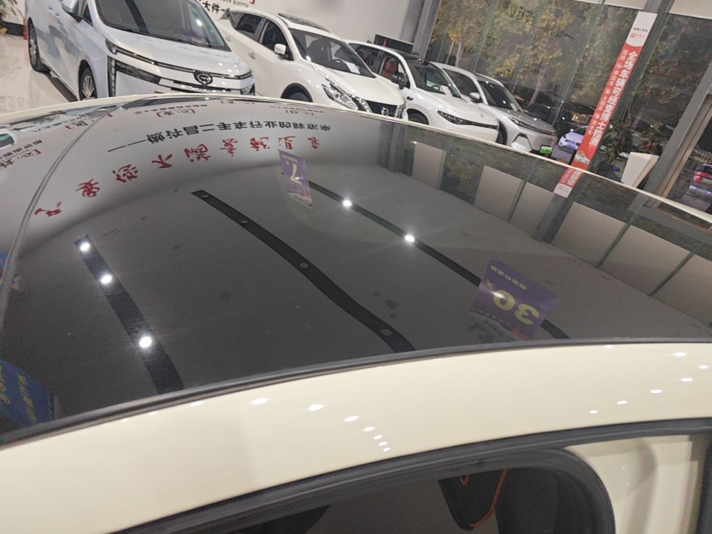 BYD Dolphin 2023 420 km Fashion Edition — снимка 7