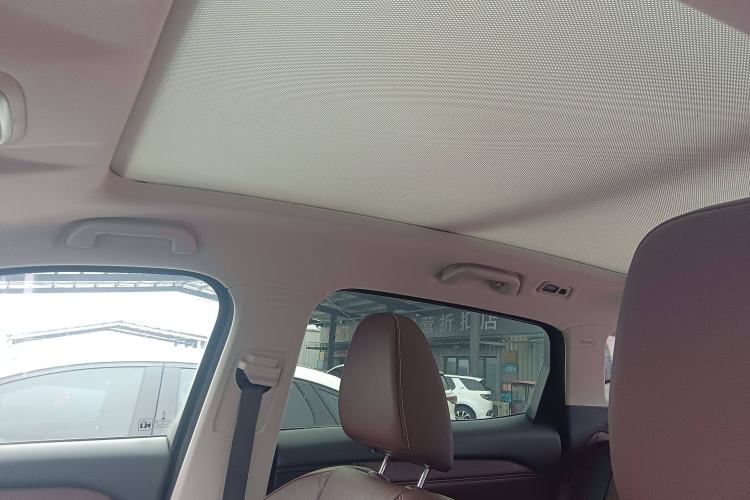 Used Wey VV6 2019 2.0T Two-Wheel-Drive Ultra-Luxury Version China VI Standard
