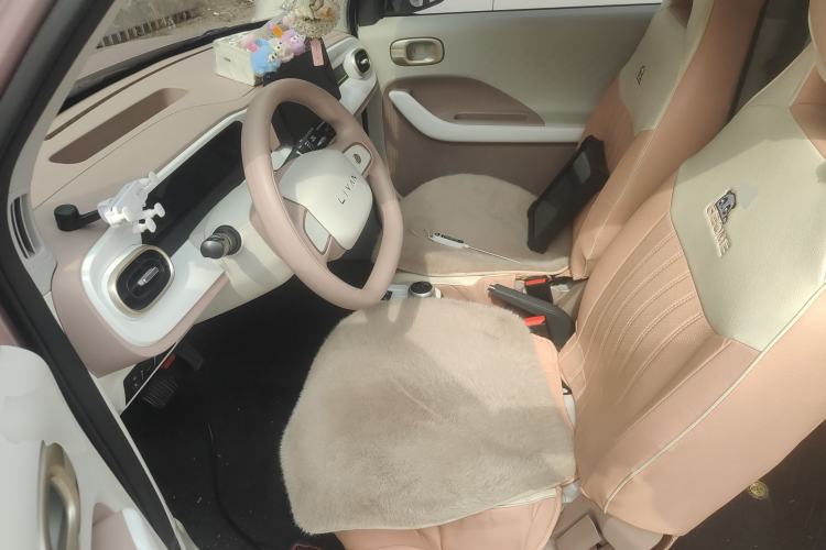 Used Livan Blue Balloon 2025 Model Dynamic Version Left Front Seat