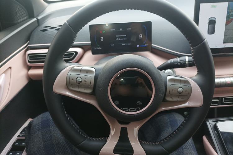 Used BYD Seagull 2025 305 km Free Version