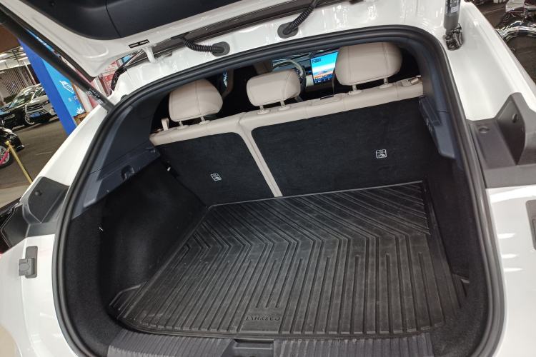 Used Lynk & Co Z20 2025 530 km Range Rear-Wheel Drive Max