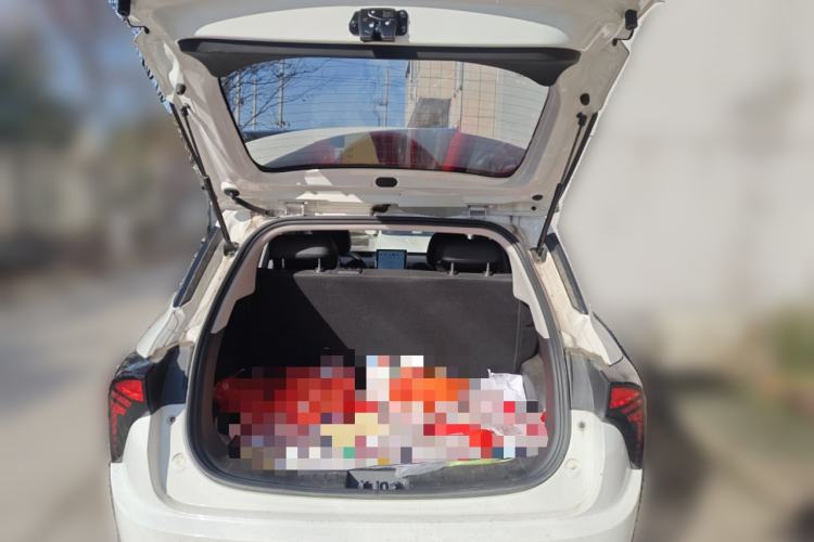 Used NETA V 2022 Long-Range Industry Custom Edition Trunk