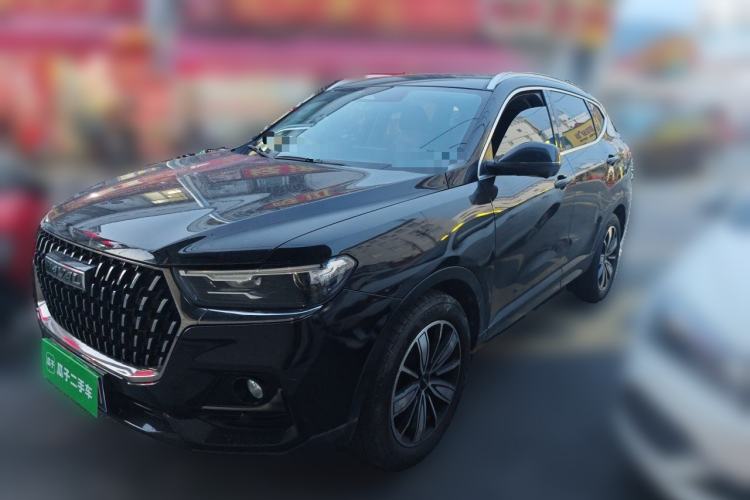 Used Haval H6 2023 National Trend Edition 1.5T Automatic Champion Version