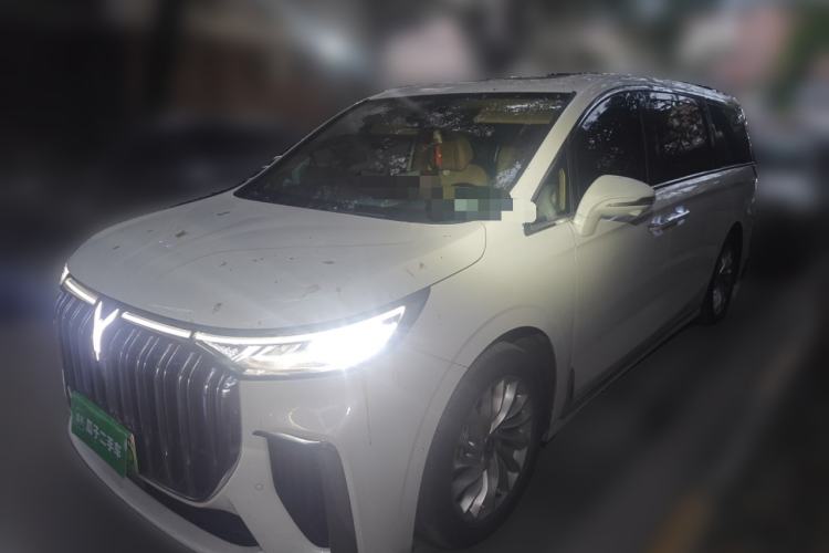 Used VOYAH Dream 2022 Low-Carbon Edition Home