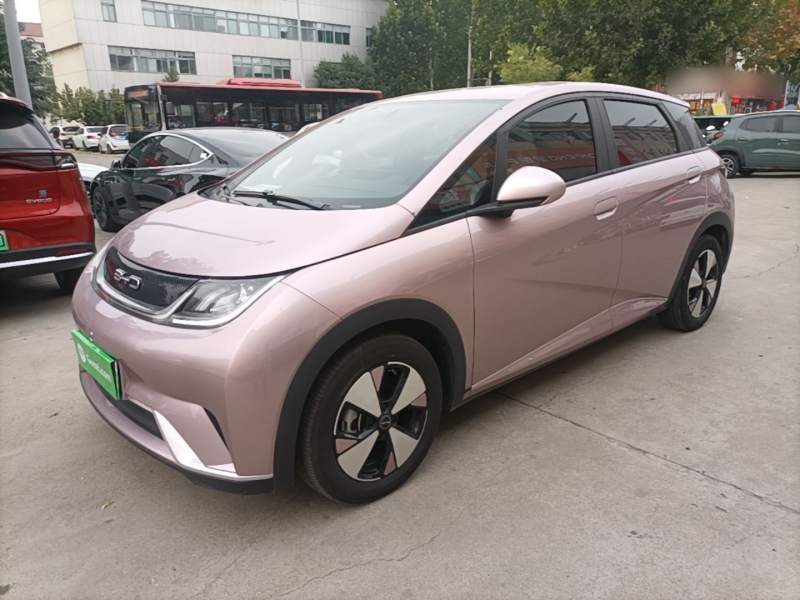 Used BYD Dolphin 2023 420 km Free Version — 1