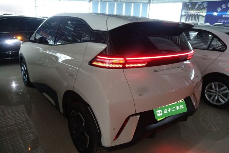 Used BYD Seagull 2023 Flying Edition Exterior 2