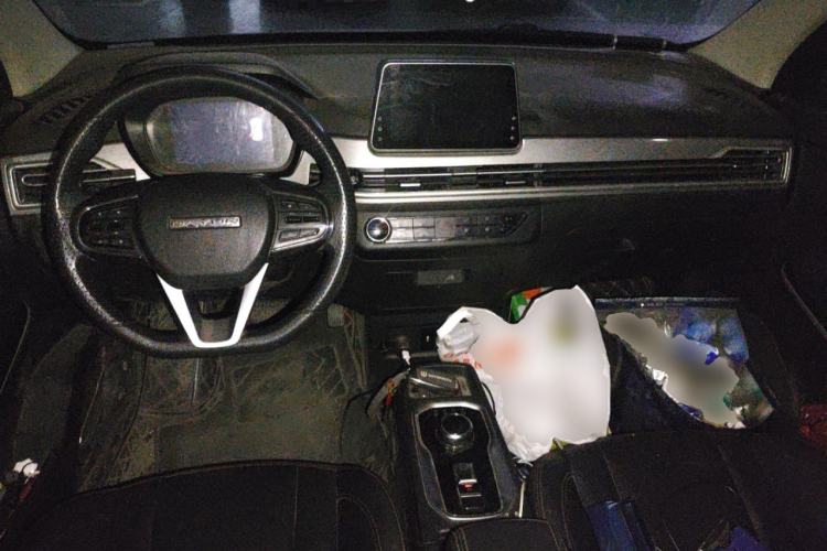 Used Dayun Yuehu 2021 Revised Version 32.85 kWh Two-Wheel Drive Sprite Edition
