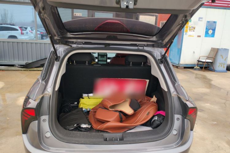 Used NETA V 2021 Standard Range Version
