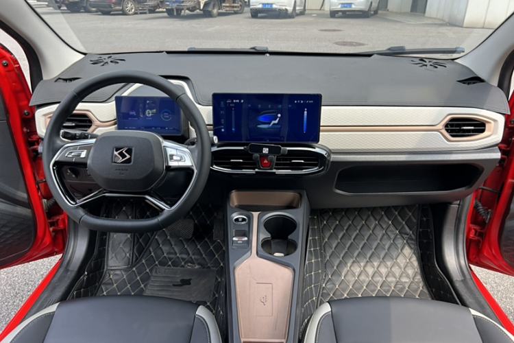 Used SOL E10X 2022 Flower Fairy Style Baby's Breath