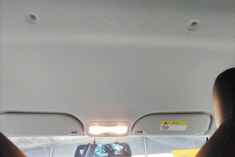 Used SOL E10X 2022 Flower Fairy Style Baby's Breath
