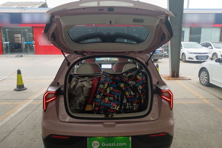 Used Geometry E Firefly 2024 401 km Fluorescent