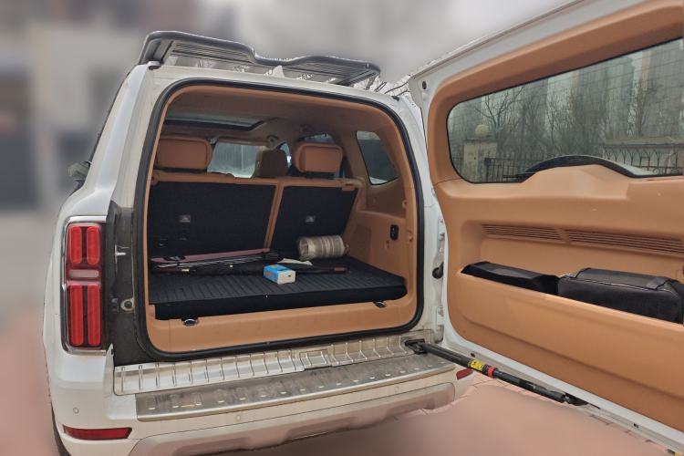 Used Tank 500 New Energy 2024 Hi4-T