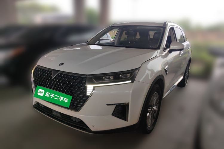 Used Venucia Star 2020 260T Automatic XingShang Edition