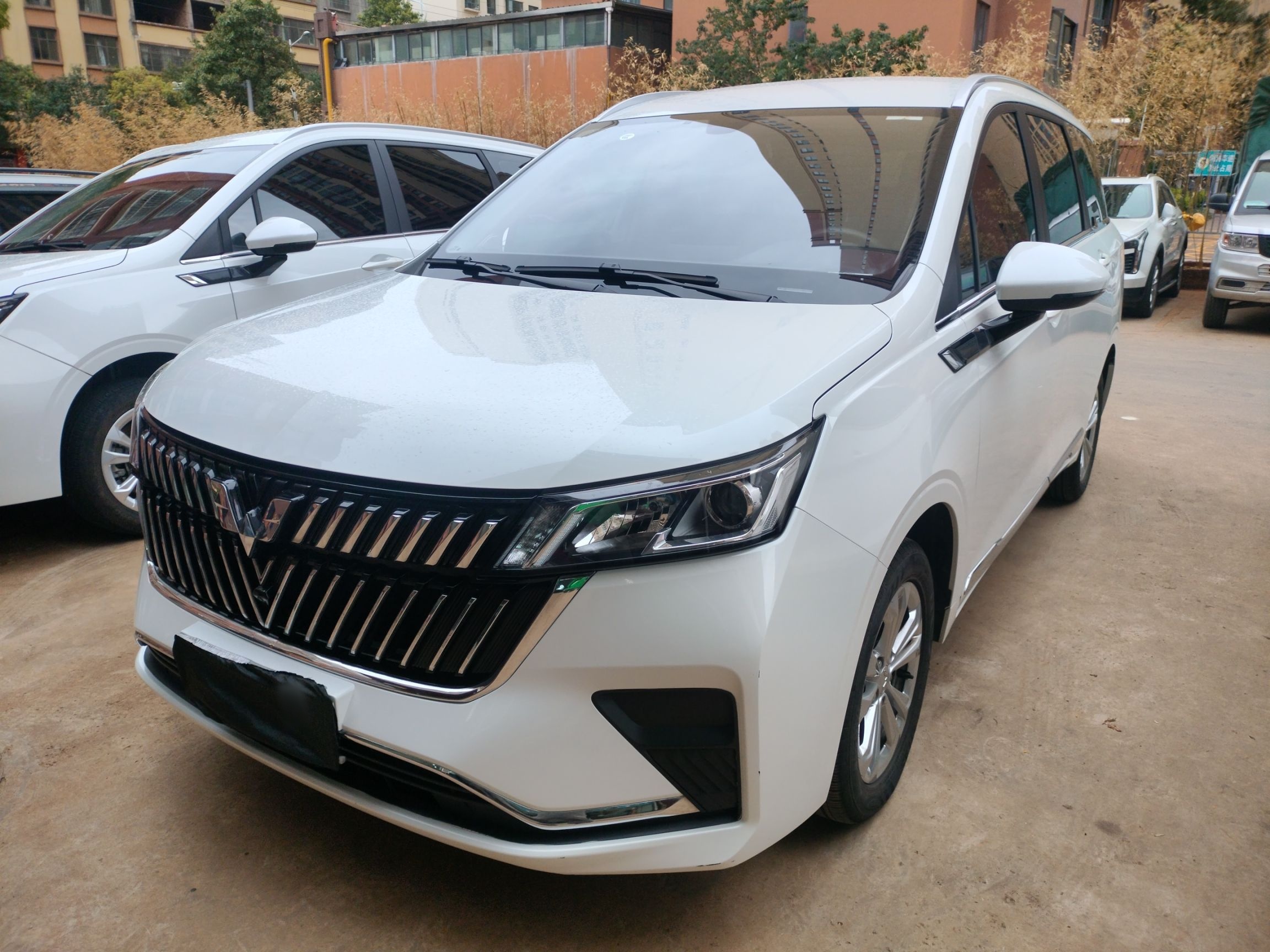 Parte inferior delantera