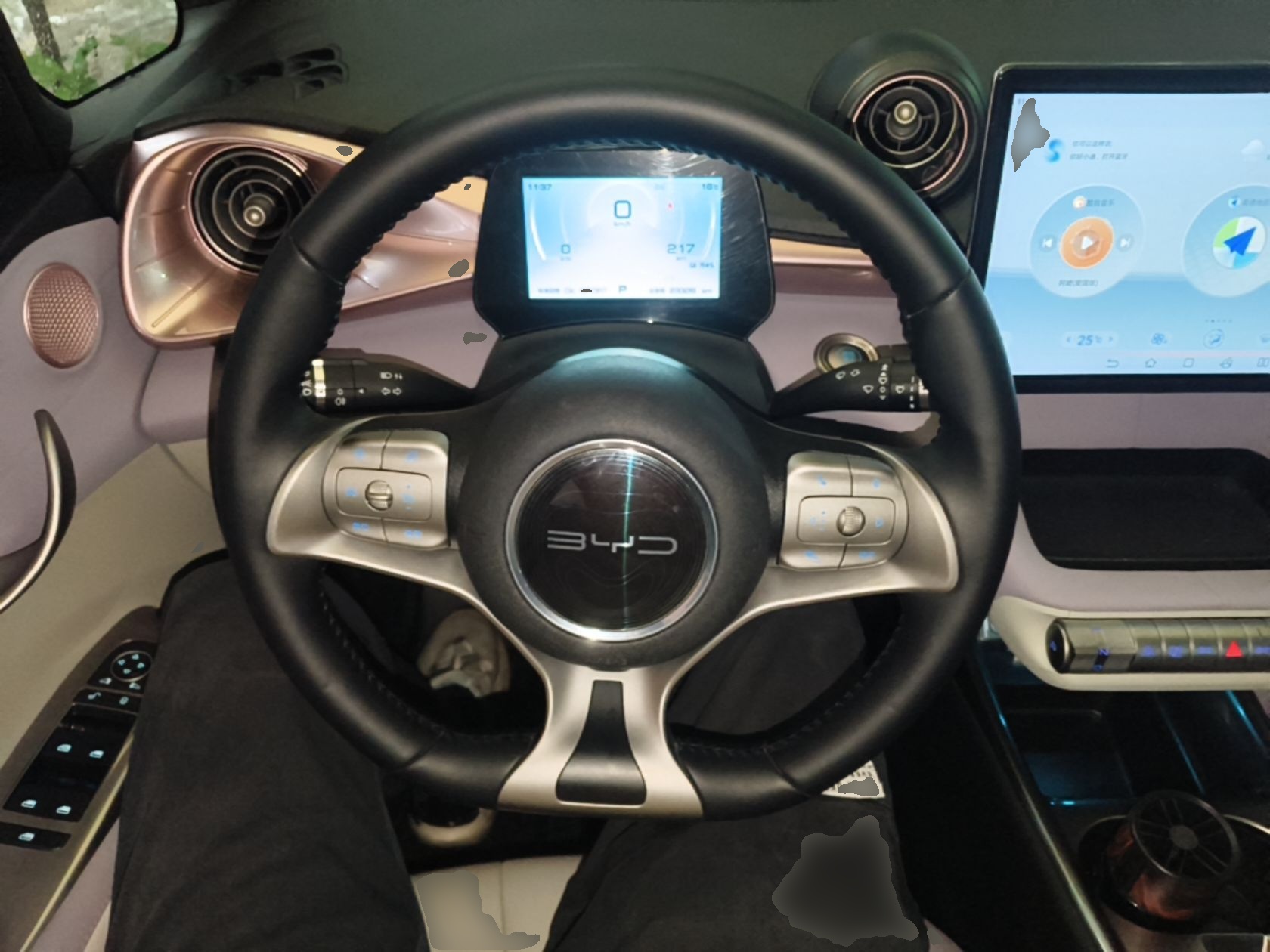 BYD Dolphin 2021 405 km Fashion Edition — снимка 13