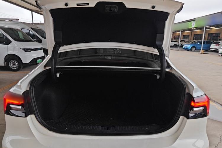 Used Rising ER6 2021 New Dynamic Edition 520km Smart Leading Version
