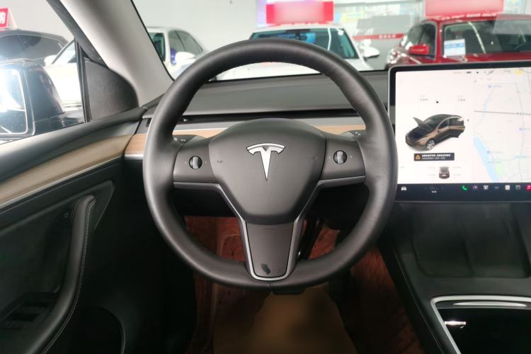 Used Tesla Model Y 2021 Standard Range Rear-Wheel Drive Version