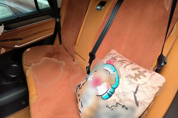 Used Tank 500 New Energy 2023 Hi4-T Left Rear Seat