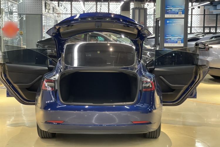 Used Tesla Model 3 2021 Standard Range Rear-Wheel Drive Upgraded Version 3D6
