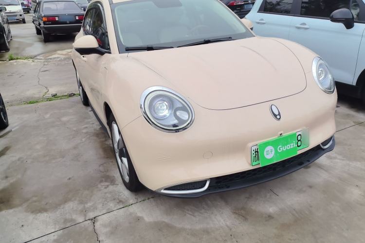 Used ORA Good Cat 2022 Morandi Edition 400km Standard Range Luxury Version Lithium Iron Phosphate