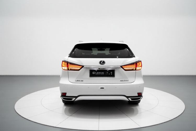 Used Lexus RX 2020 300 Two-Wheel Drive Elite Edition China VI Standard