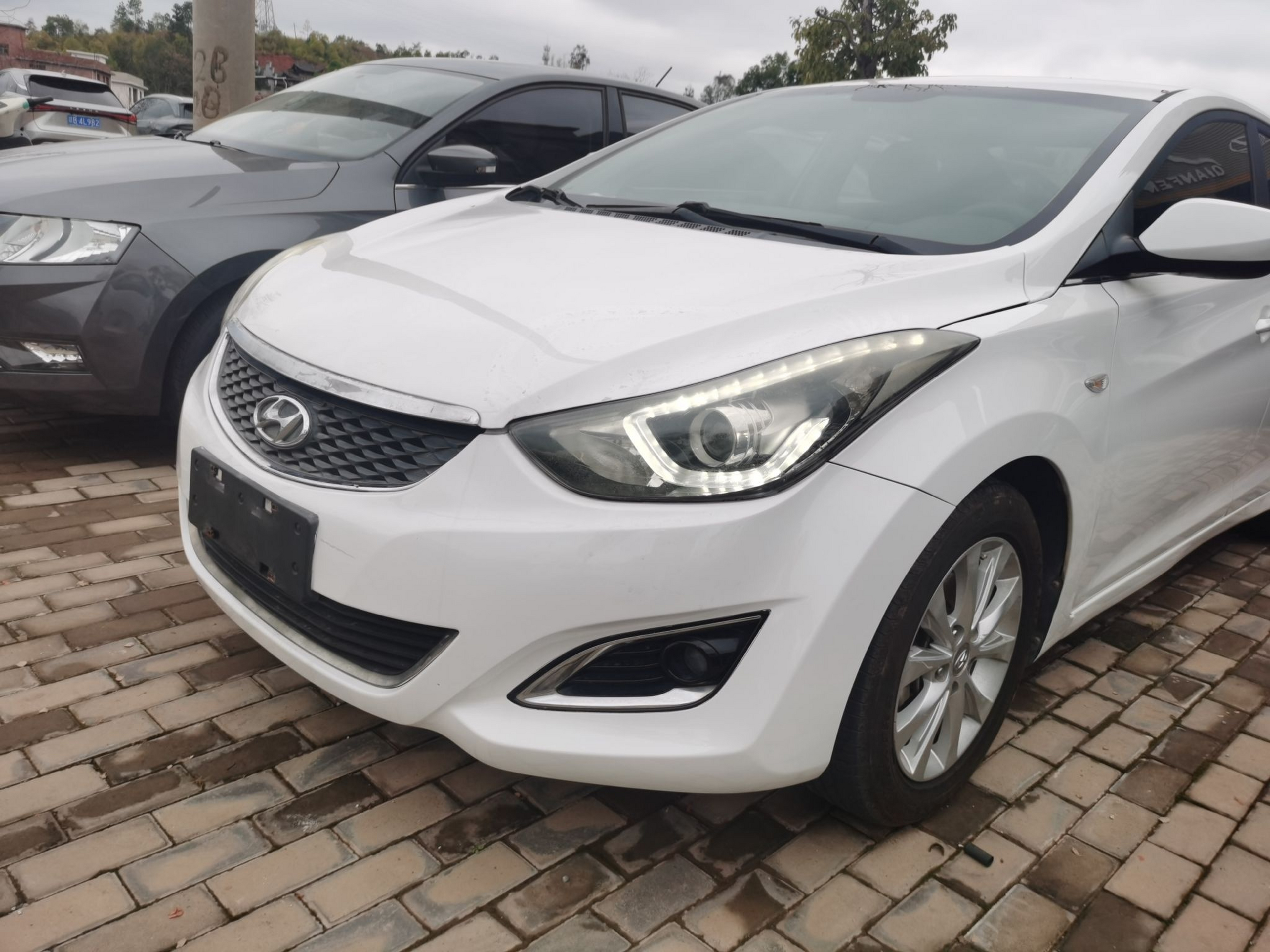 تحت مقدمة السيارة