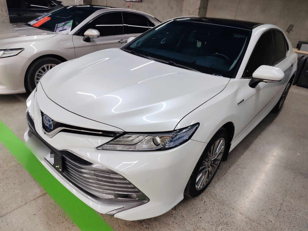 Parte inferior delantera