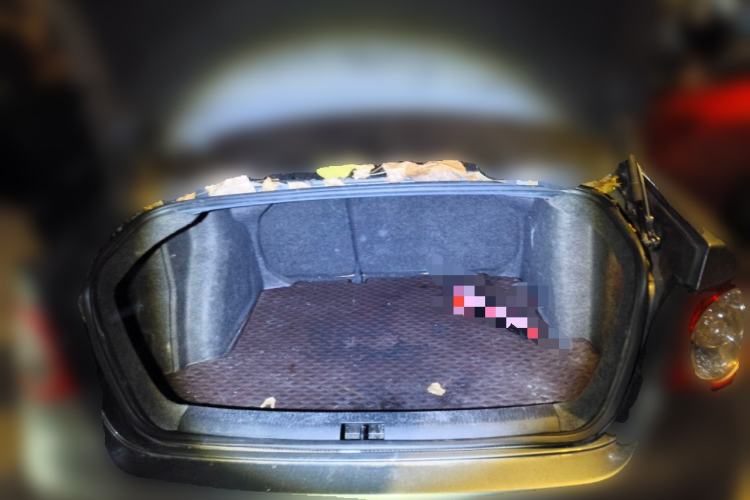 Used Volkswagen Sagitar 2009 2.0L Automatic Leather Edition
