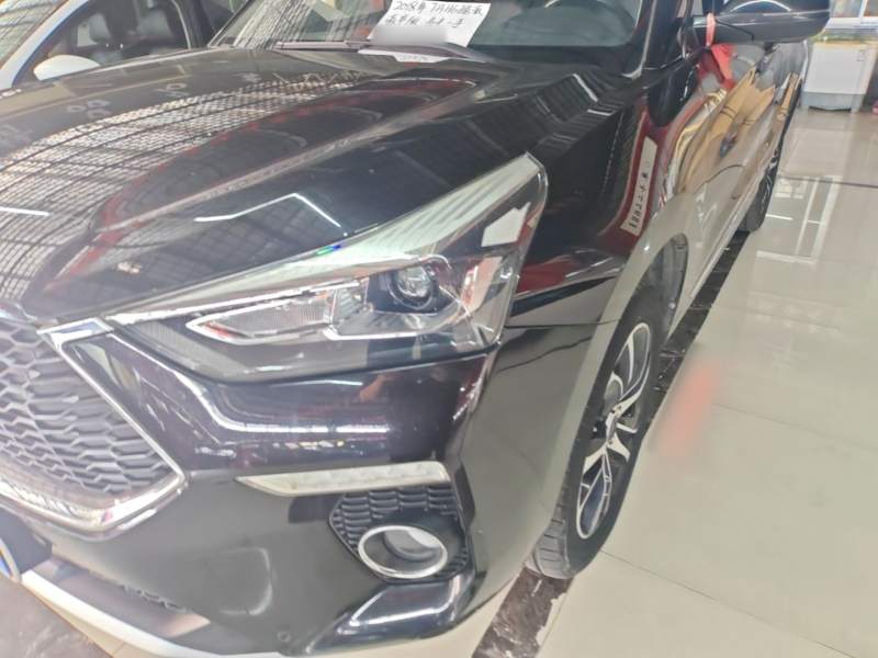 Used Haval H6 Coupe 2018 Red-Label 1.5T Automatic Two-Wheel Drive Ultra-Luxury Model — 23