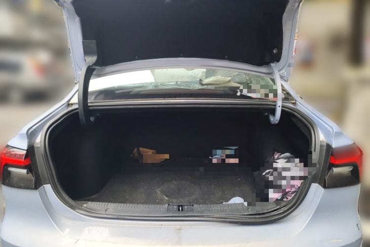 Used Rising ER6 2021 New Dynamic Edition 520km Smart Leading Version Trunk