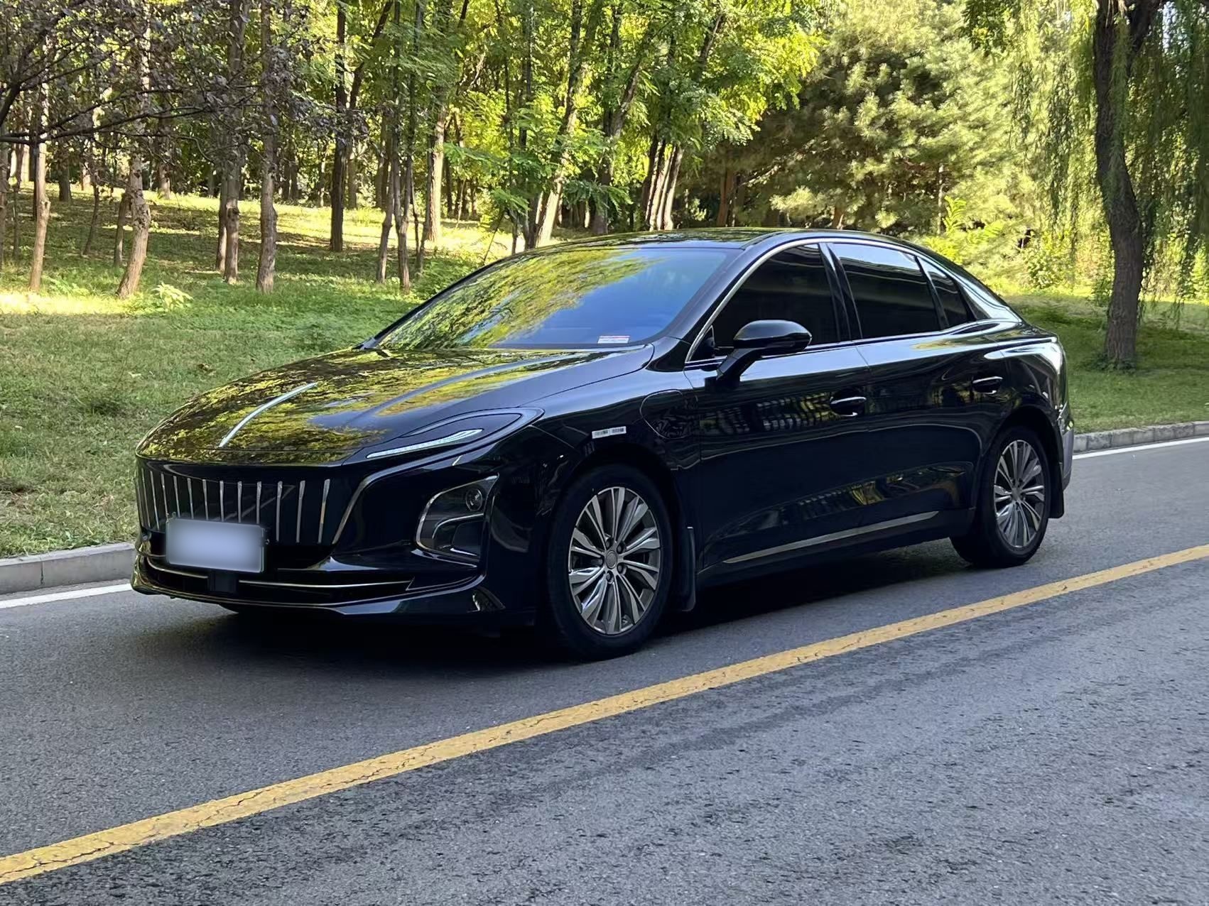 Hongqi E-QM5 2023 620km PLUS — снимка 12
